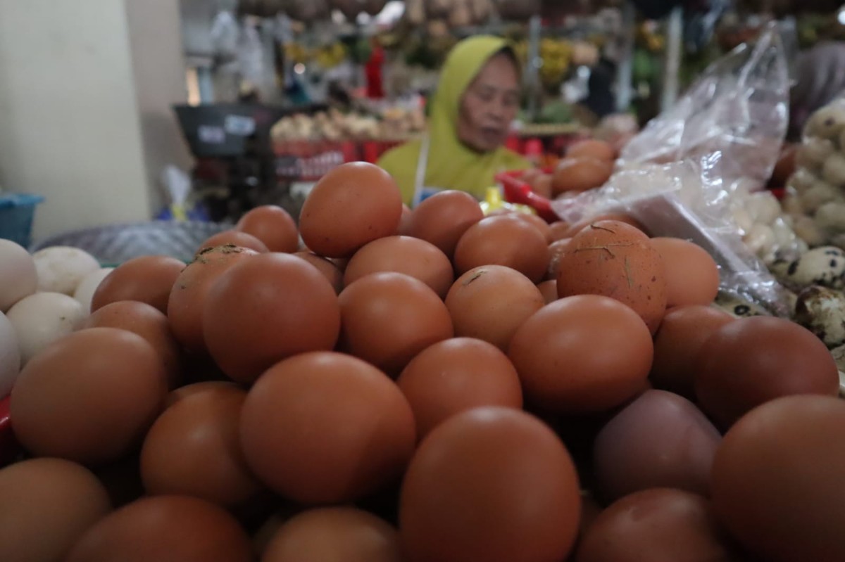Kenaikan Harga Telur dan Cabai Picu Inflasi, Kacang Panjang dan Terong Deflasi
