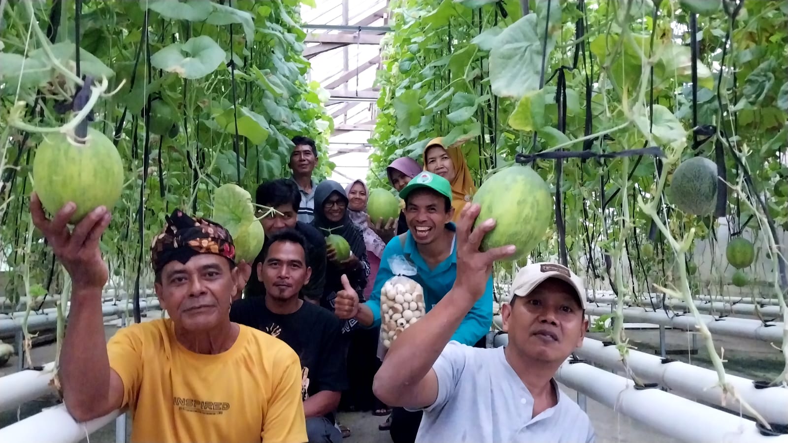 Melon Sultan di Desa Rawan Banjir Menginspirasi Pengunjung 