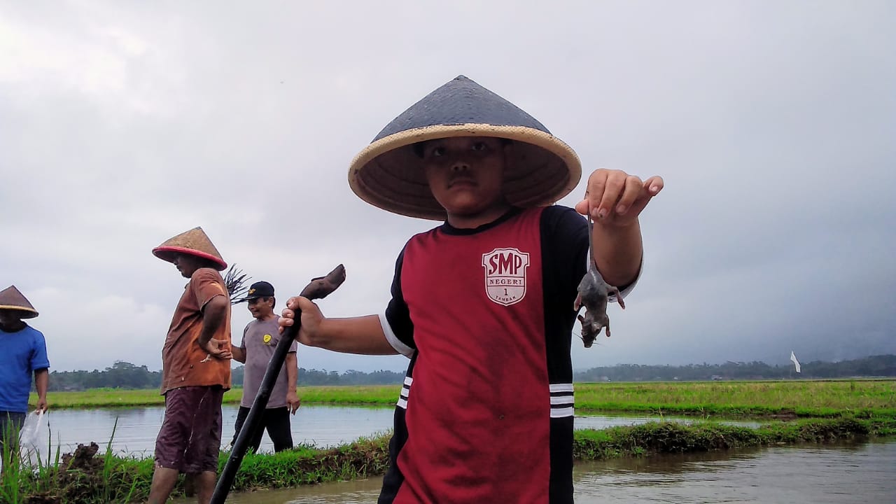 Pemerintah Desa Gumelar Kidul Kecamatan Tambak Alokasikan Rp 19 Juta untuk Pengendalian Hama