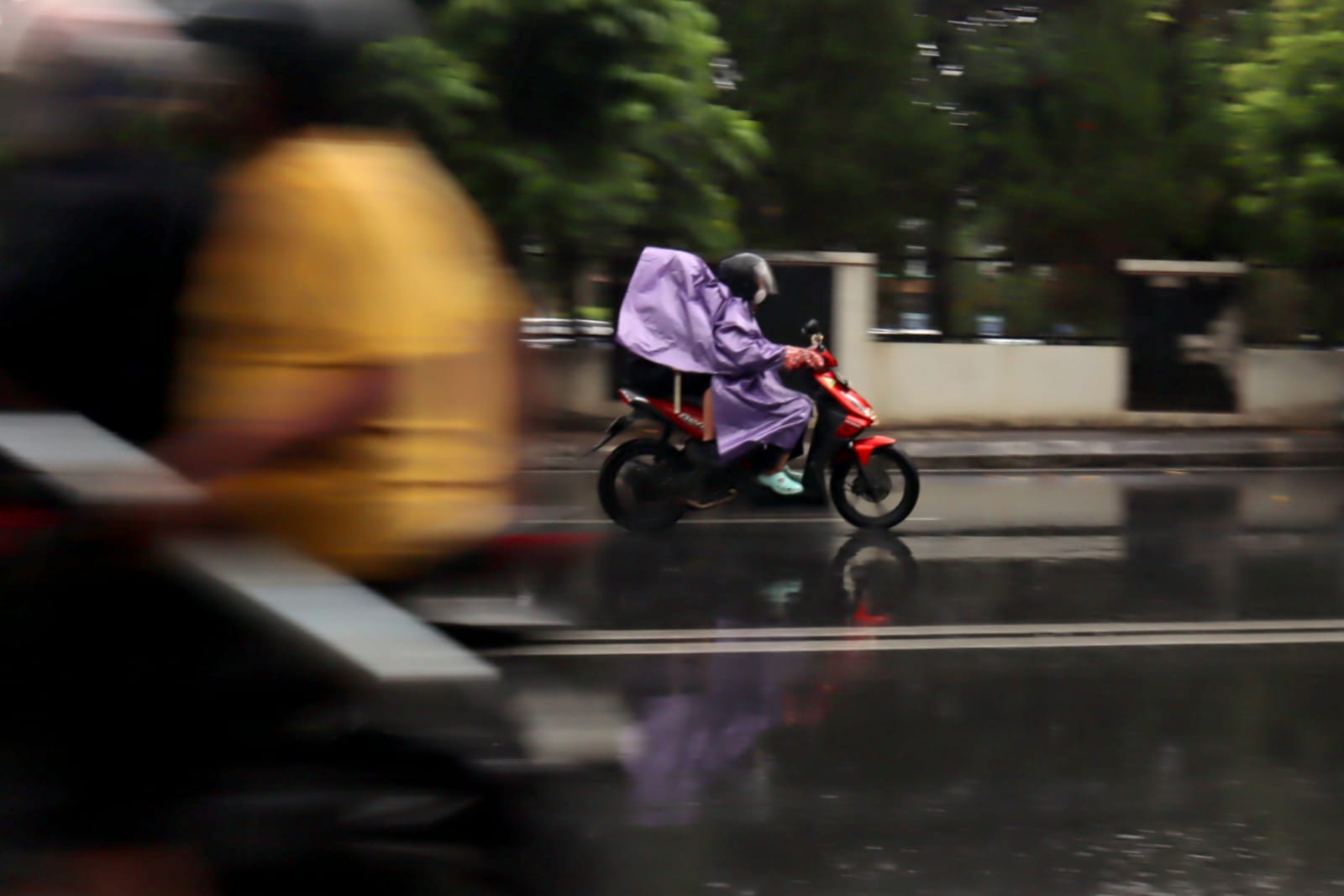 23 Kecamatan Banyumas Rawan Longsor, Banjir Bandang Mengancam 26 Wilayah