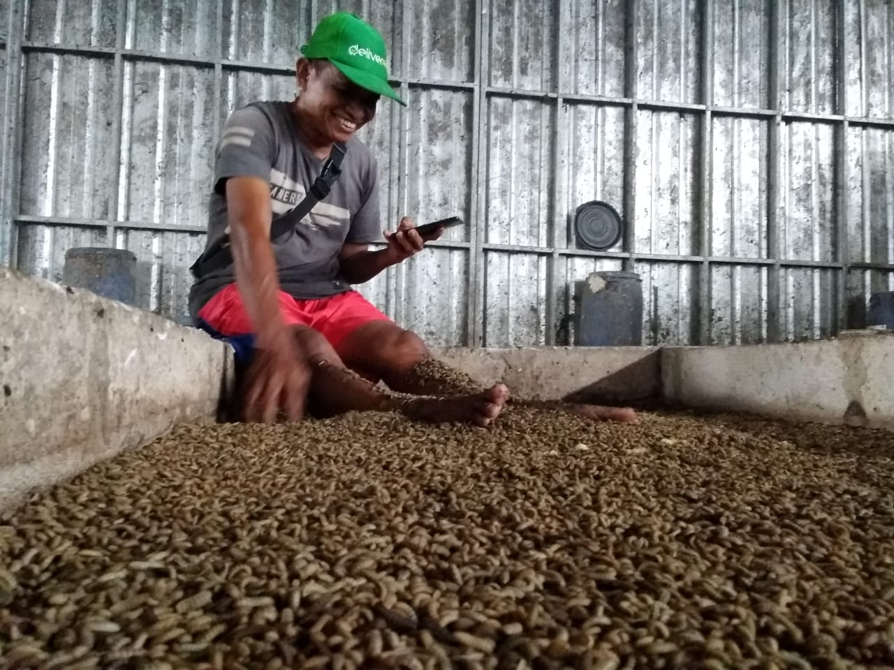 Wardi Eksperimen Terapi Magot