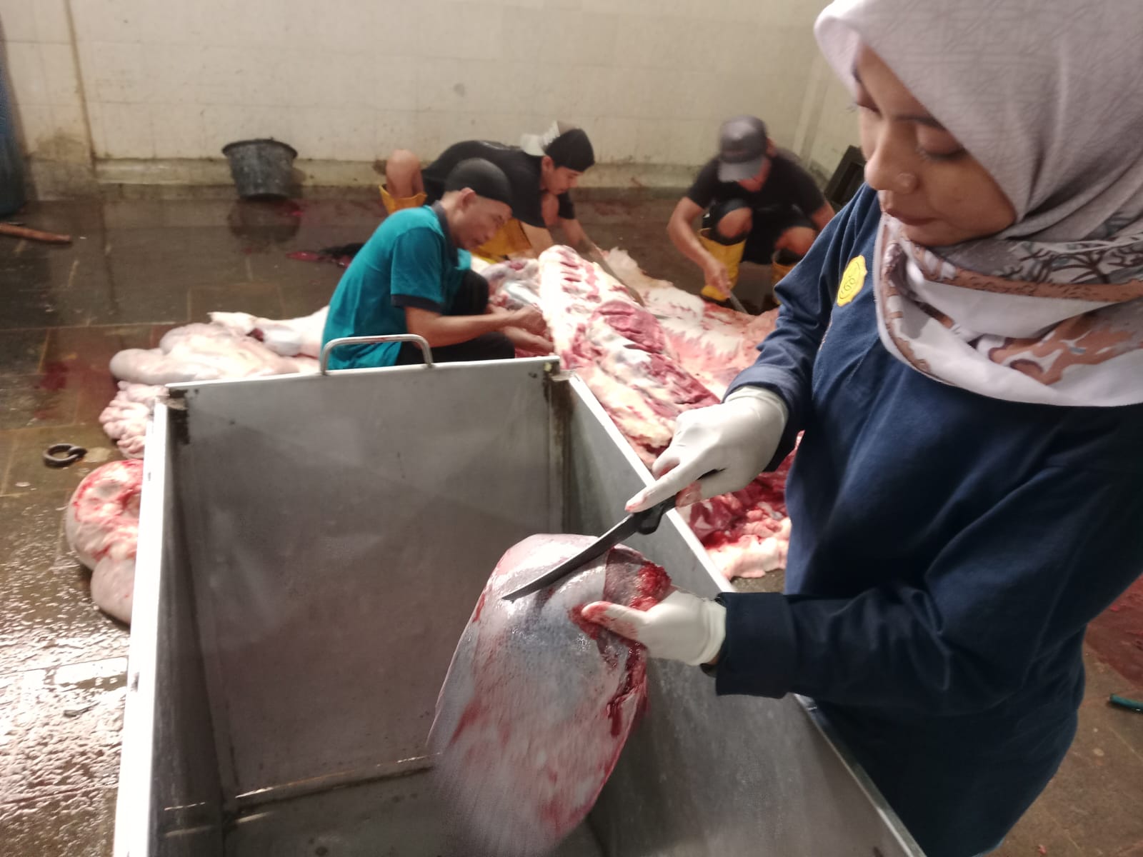 Hari Pertama Penyembelihan Hewan Kurban di Cilacap, Masih Nihil Temuan Penyakit Cacing Hati