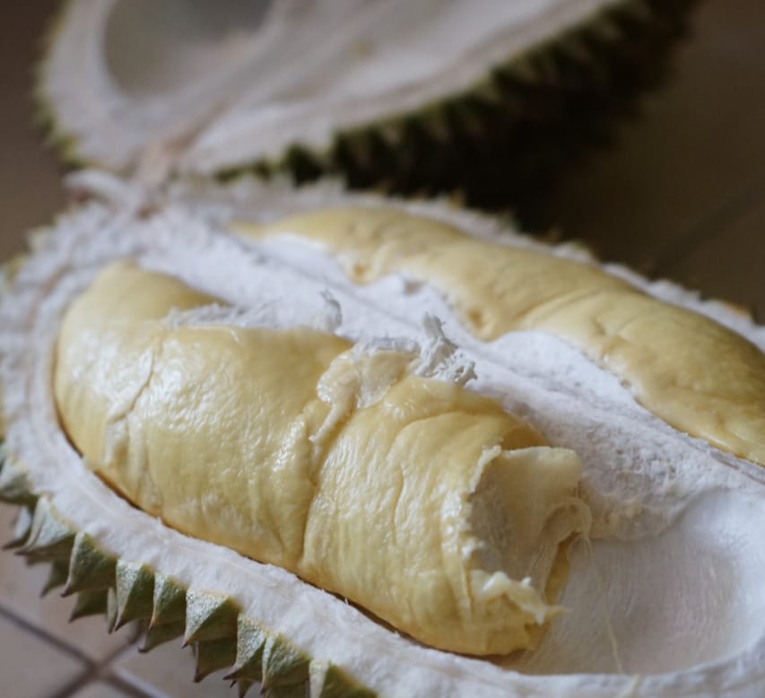 Yuk, Berburu Durian di Surganya Durian Pengadegan, Rasakan Sensasinya