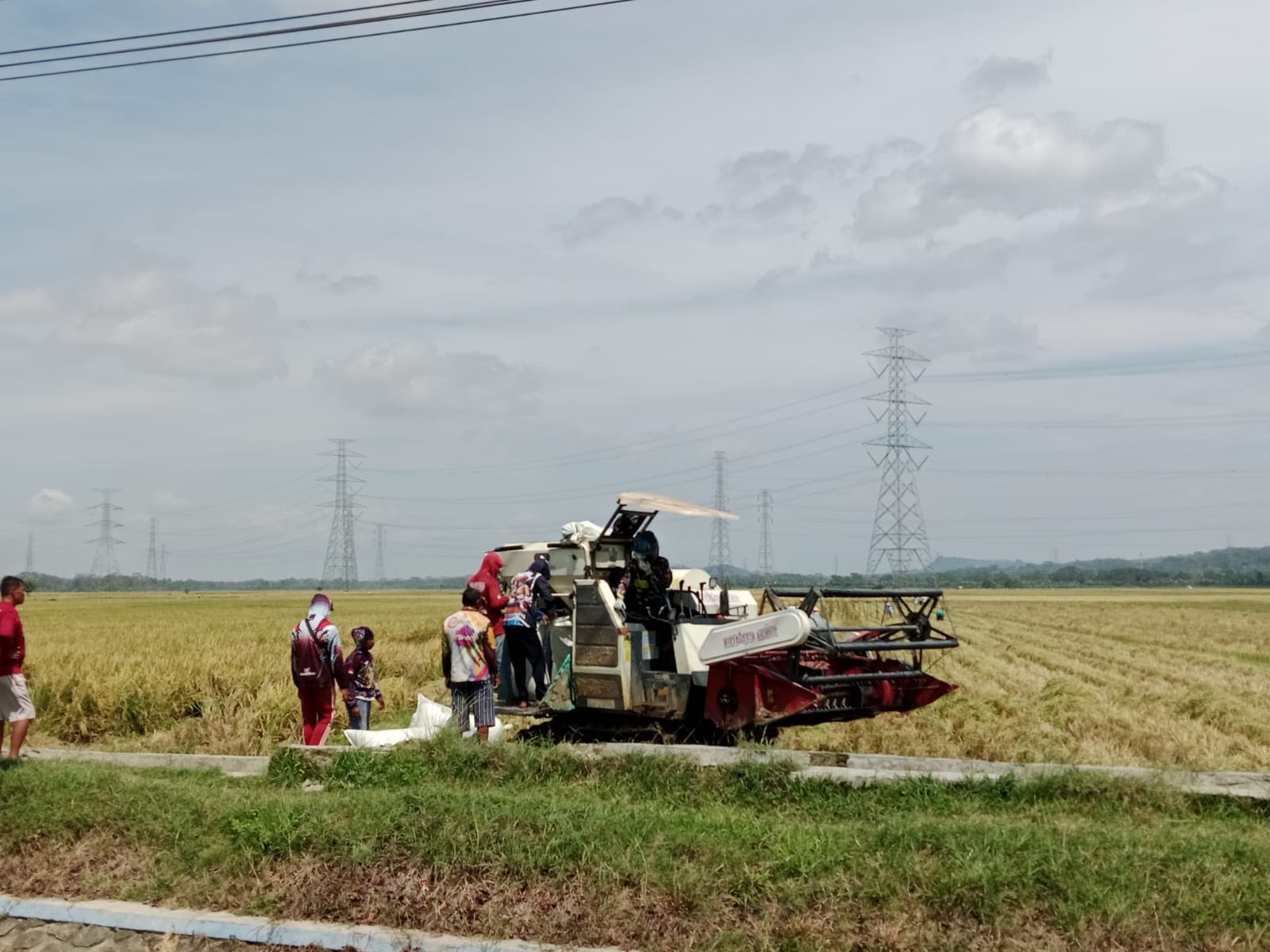 Petani Sawah Tadah Hujan di Cilacap Masih Tunggu Ketersediaan Air