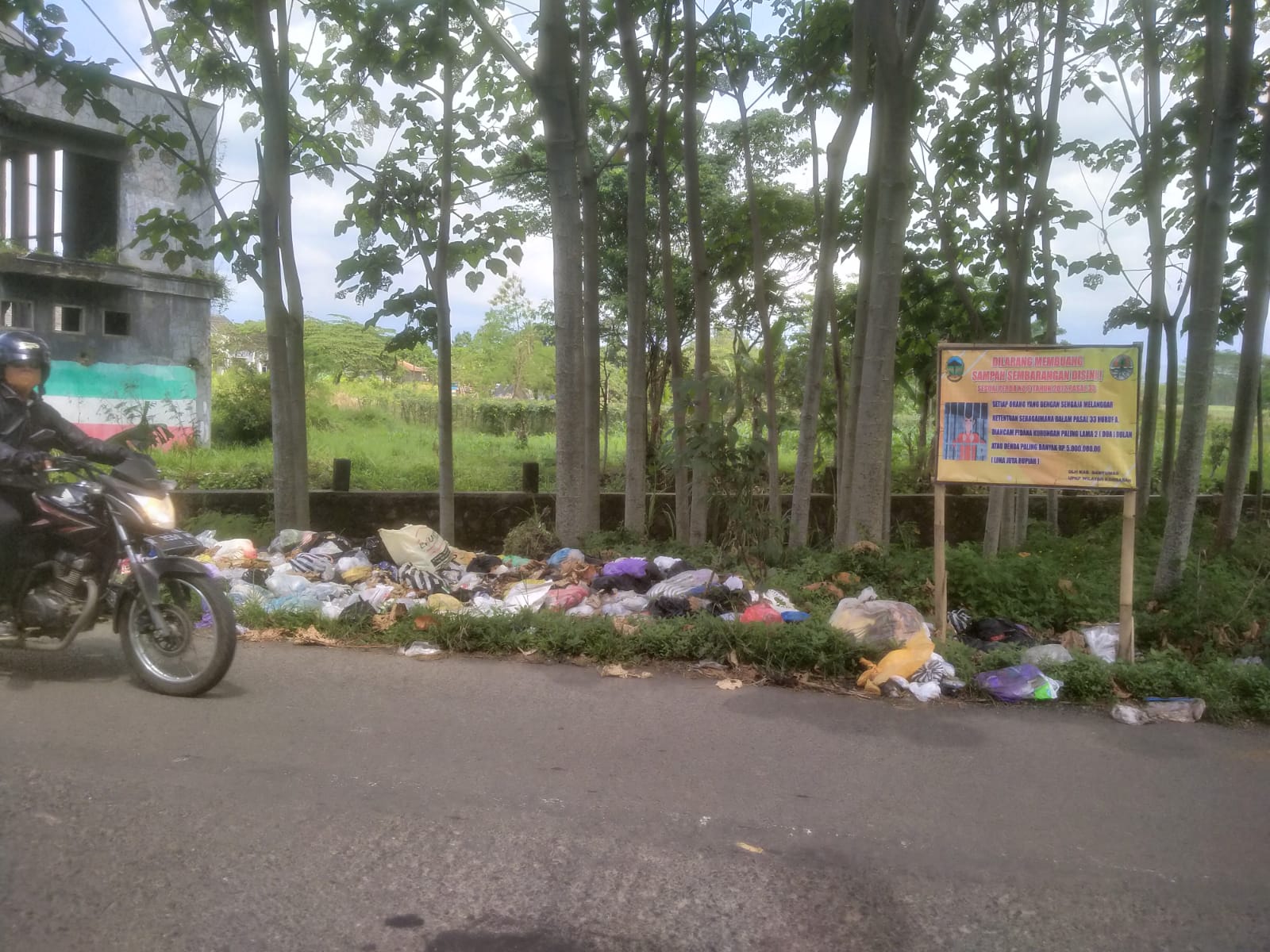 Penanganan Sisa Tumpukan Sampah Tempat Pembuangan Sampah Ilegal Dengan Diurug