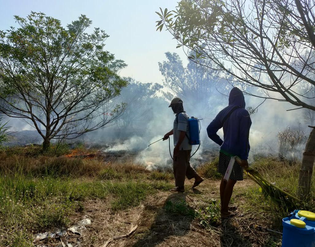 Lahan Tebu di Kampung Laut, Cilacap Terbakar, Penyebab Belum Diketahui