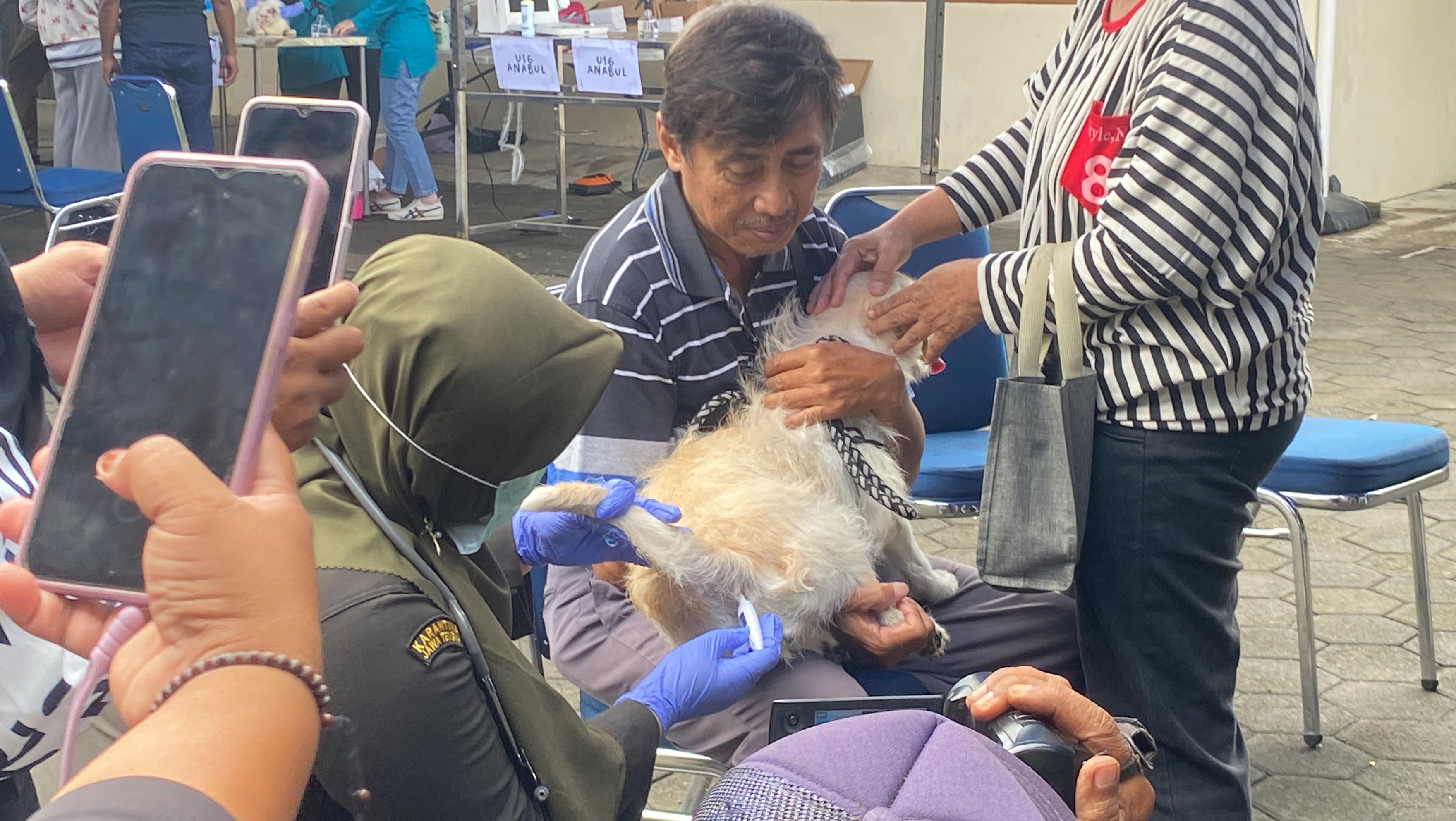 Baru 10 Persen Anjing di Cilacap Tervaksin Rabies, Dinas Pertanian Imbau Warga Segera Lakukan Vaksinasi