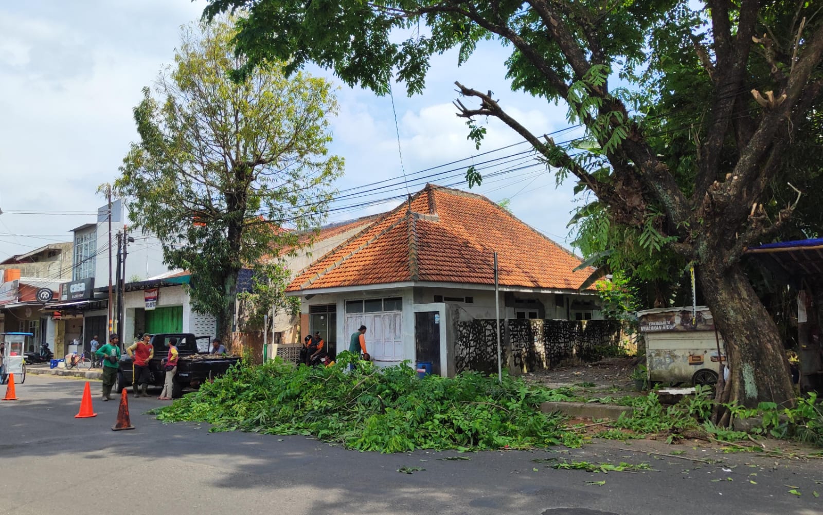 Antisipasi Cuaca Ekstrem, Pohon Peneduh di Kota Dipangkas
