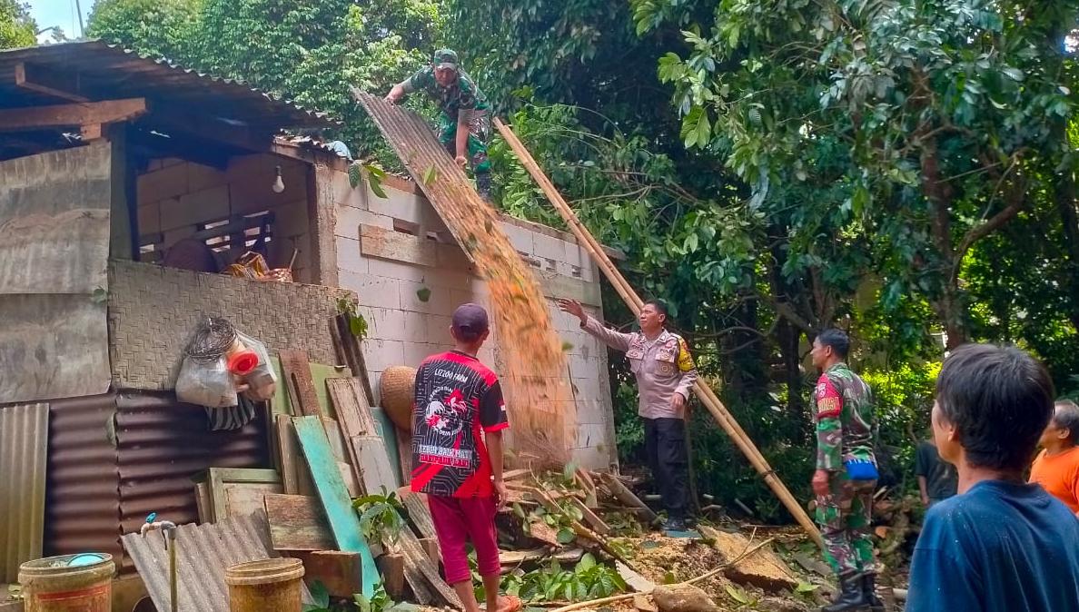 Pohon Duku Tumbang Timpa Rumah Warga di Desa Kedarpan