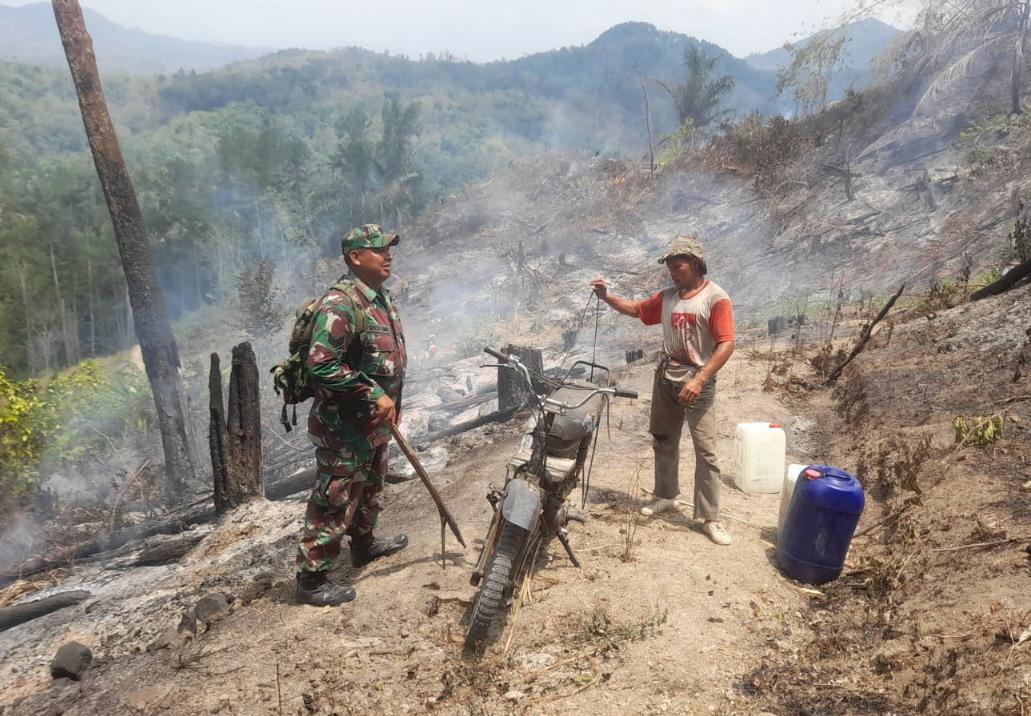 Paska Kebakaran, Lahan Seluas 10 Hektare Milik Perhutani di Karangpucung, Cilacap Masih Sisakan Titik Api