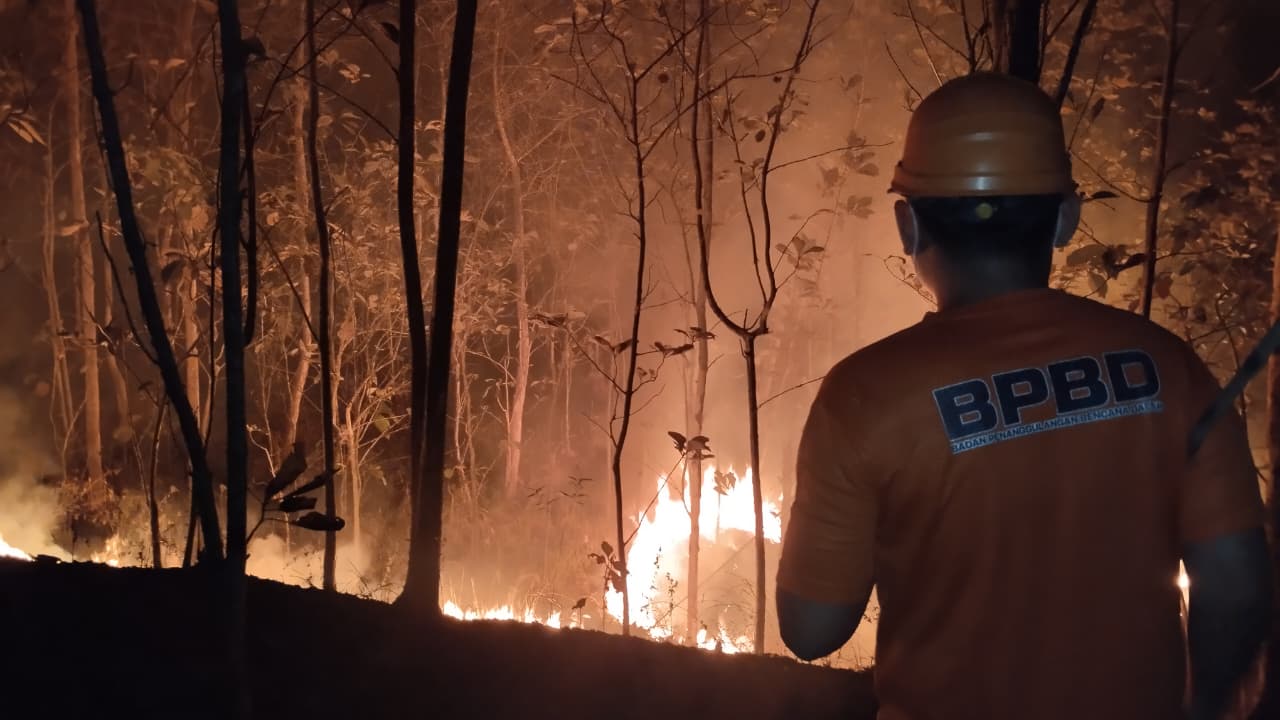 Kebun Jati 1,5 Hektare Terbakar di Wangon, Api Muncul Malam Hari, BPBD Banyumas Tangani Dua Lokasi