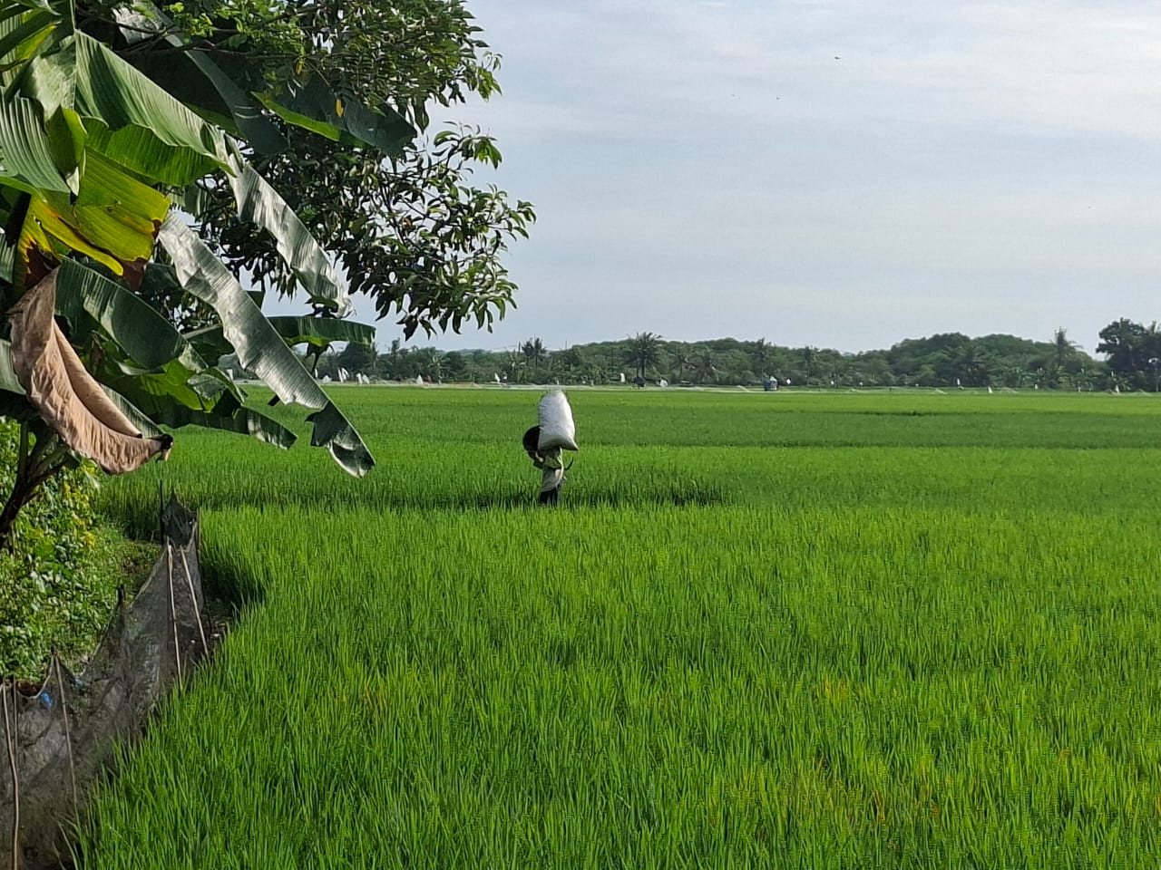 DPUPR Cilacap Ingatkan Tiga Izin Dasar Pembangunan