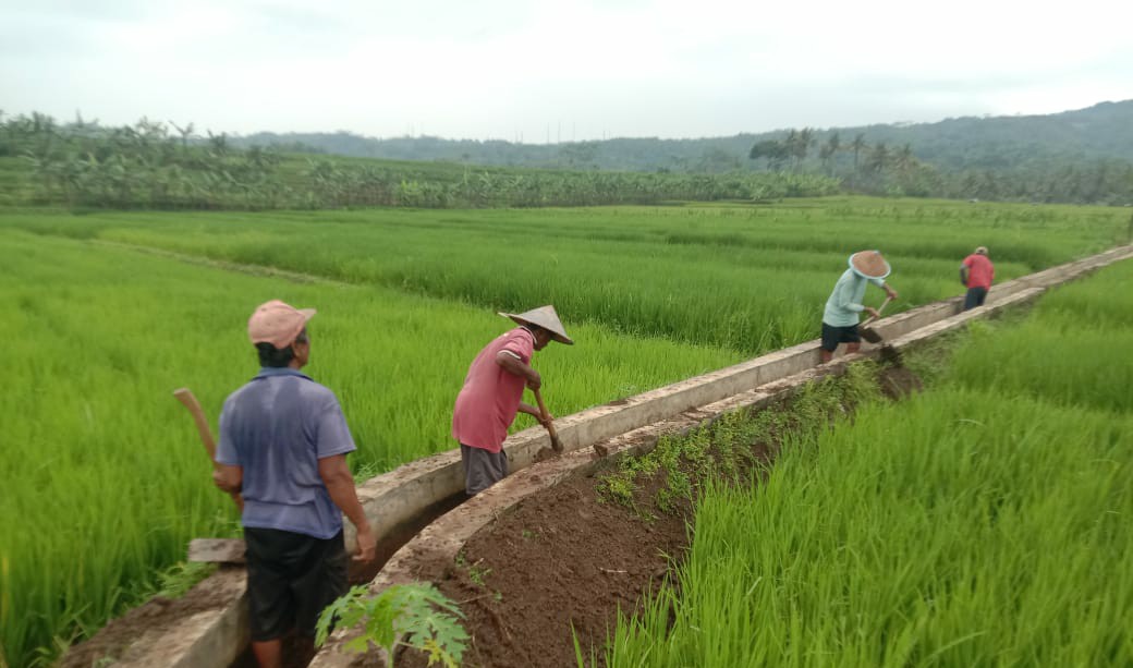 Jaringan Irigasi di Dawuhan Tergerus Air dan Berlumpur 