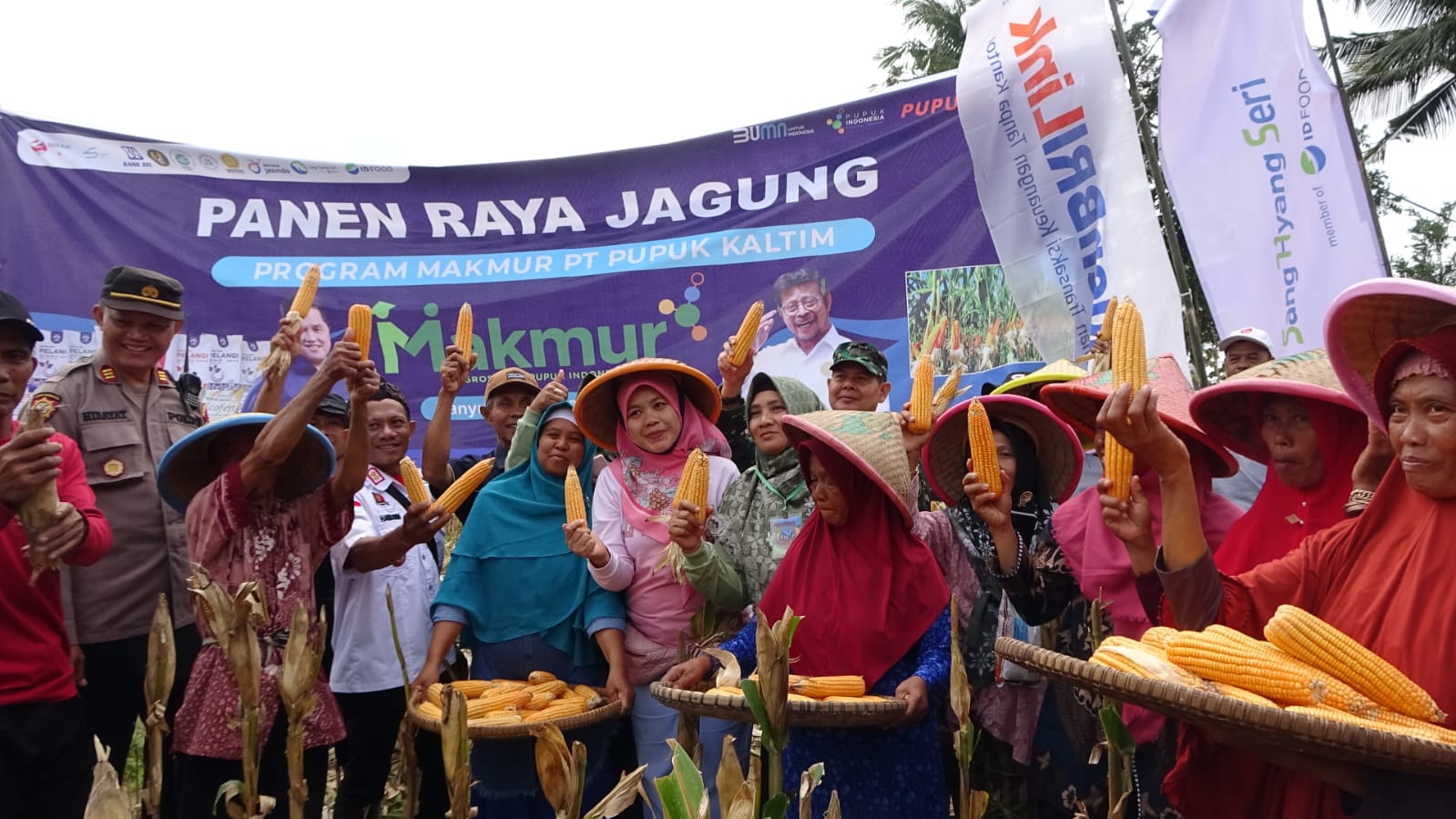 Tingkatkan Produktivitas Pangan, Pupuk Kaltim Panen Jagung Agrosolution di Banyumas