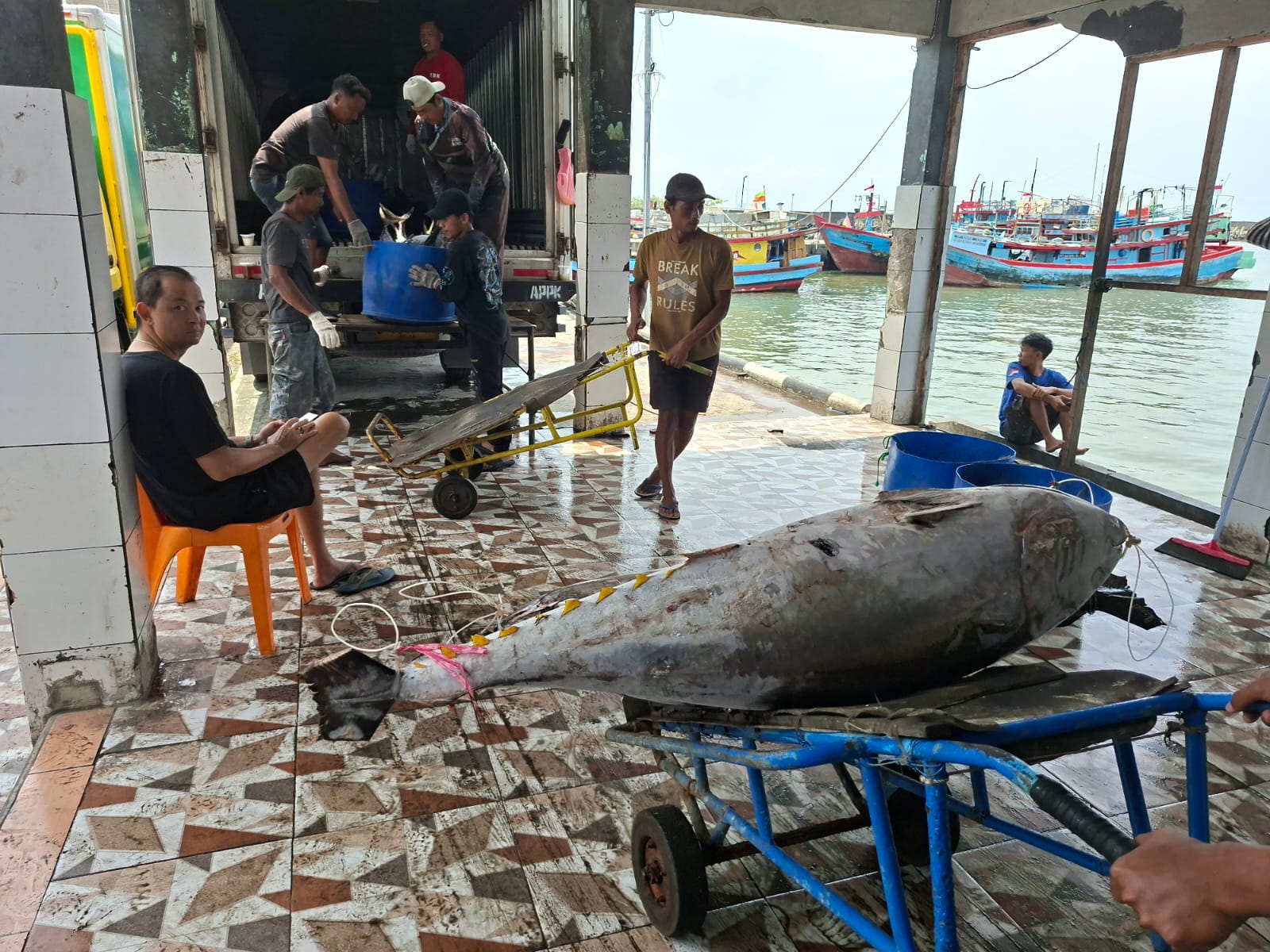 Harga Ikan di Cilacap Stabil di Tengah Cuaca Buruk, Pasokan Melimpah Berkat Musim Panen