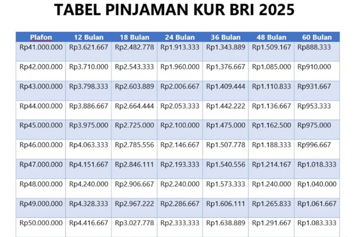 Cicilan KUR BRI Rp50 Juta Selama 3 Tahun, Bunga Cuma 6 Persen!
