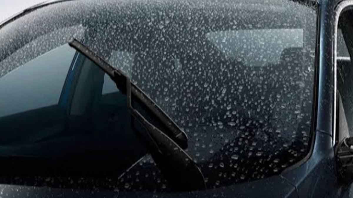 Cara Menghilangkan Jamur Kaca yang Membandel di Mobil Anda