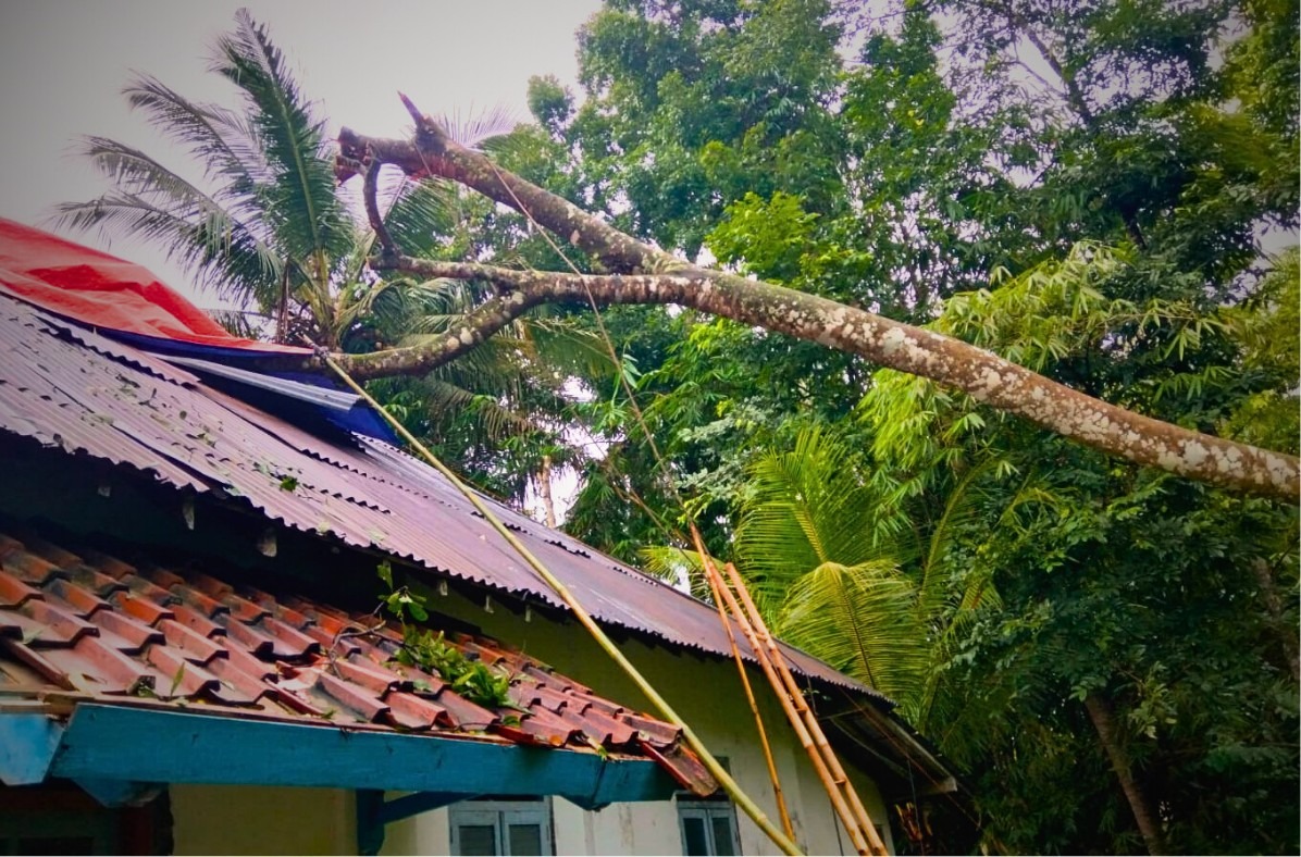 Pohon Tumbang Timpa Rumah Warga Desa Srati Kebumen