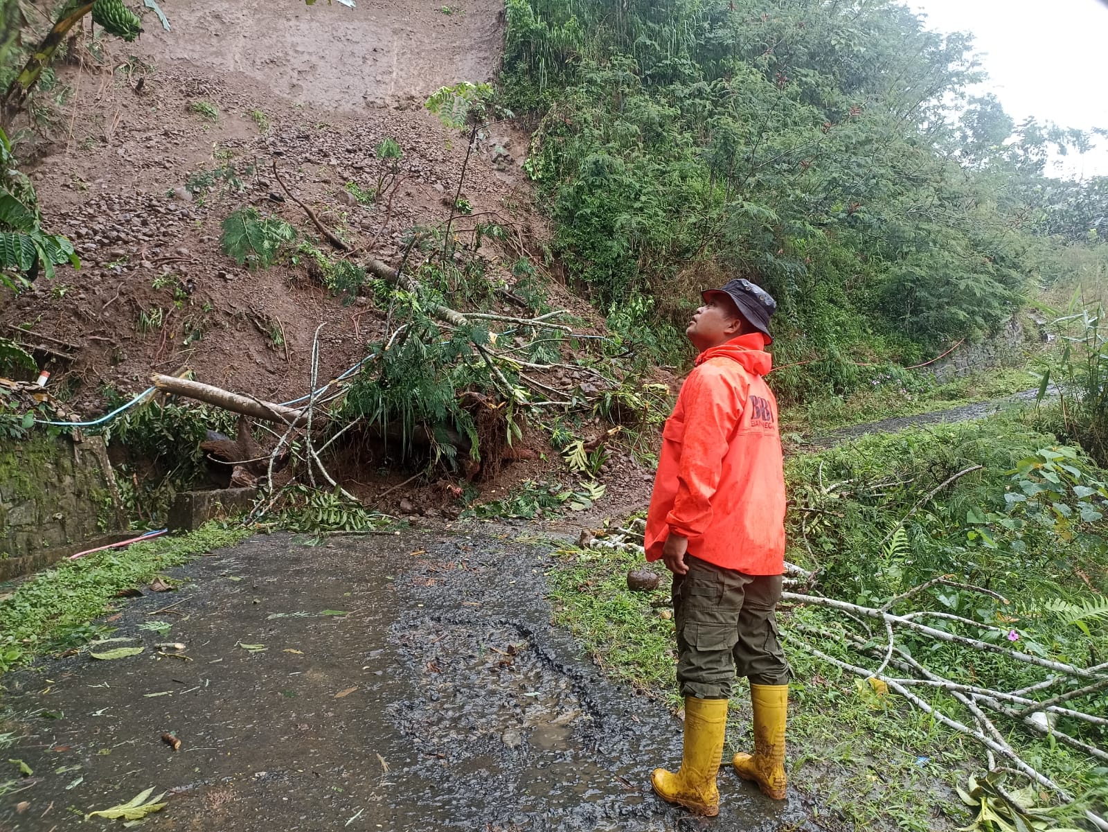 Hujan Deras Picu Longsor di Pandanarum, Akses Jalan Terputus dan Rumah Warga Rusak