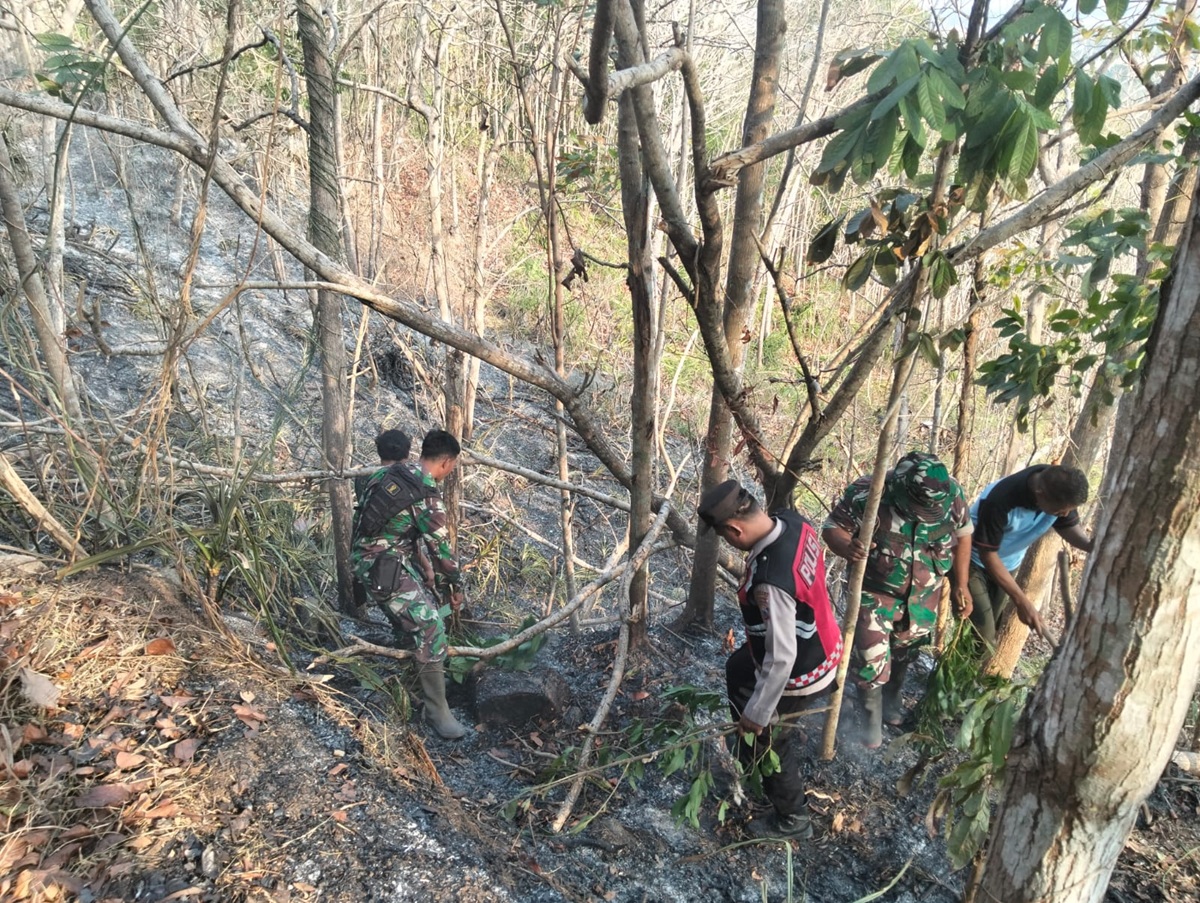 Empat Kebakaran Dalam Satu Hari, Warga Kebumen Diminta Waspada