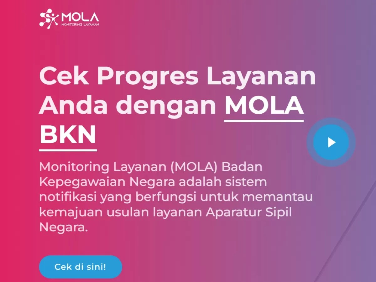 Cara Cek NIP PPPK Paruh Waktu, Mudah dan Praktis Lewat Mola BKN!