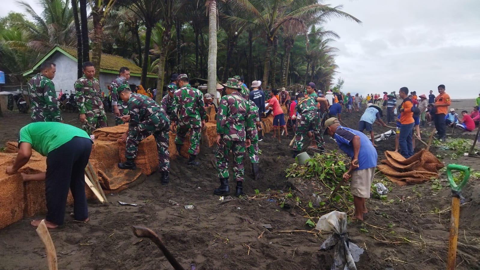 Abrasi Makin Parah, 257 Bronjong Sabut Kelapa Dipasang di Pantai Sidayu Indah 