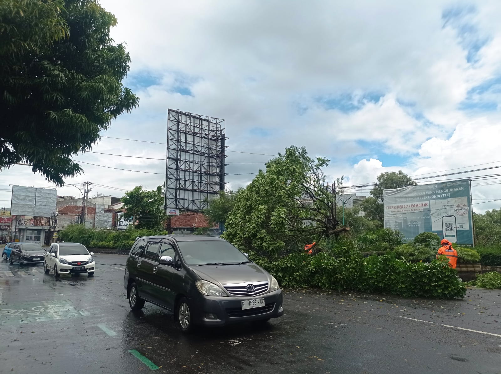Hujan Disertai Angin Kencang, Pohon Peneduh Tumbang Tutup Sebagian Jalan Jenderal Soedirman