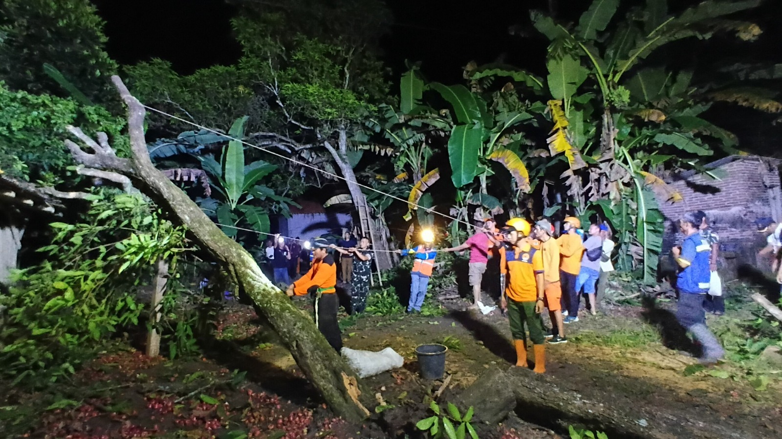 Pohoh Tumbang Timpa Rumah Warga Adimulyo Rusak Jaringan PLN