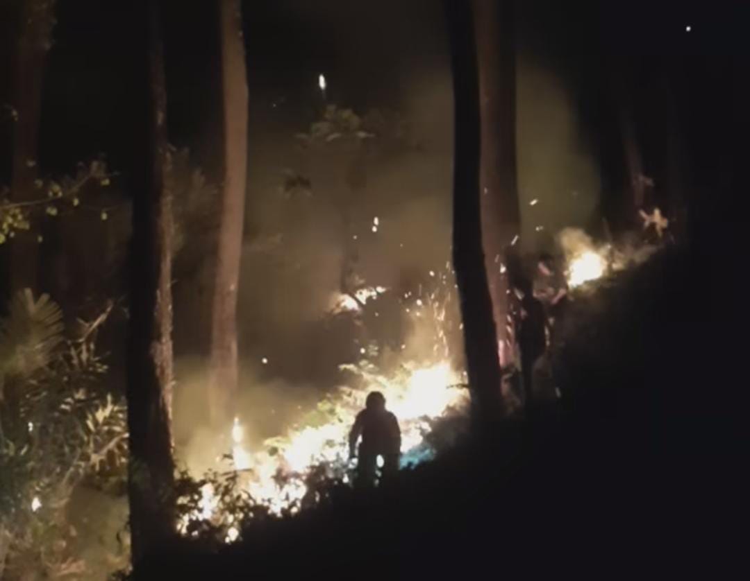 Satu Hektare Area Hutan Pinus Milik Perhutani di Gumelar Terbakar