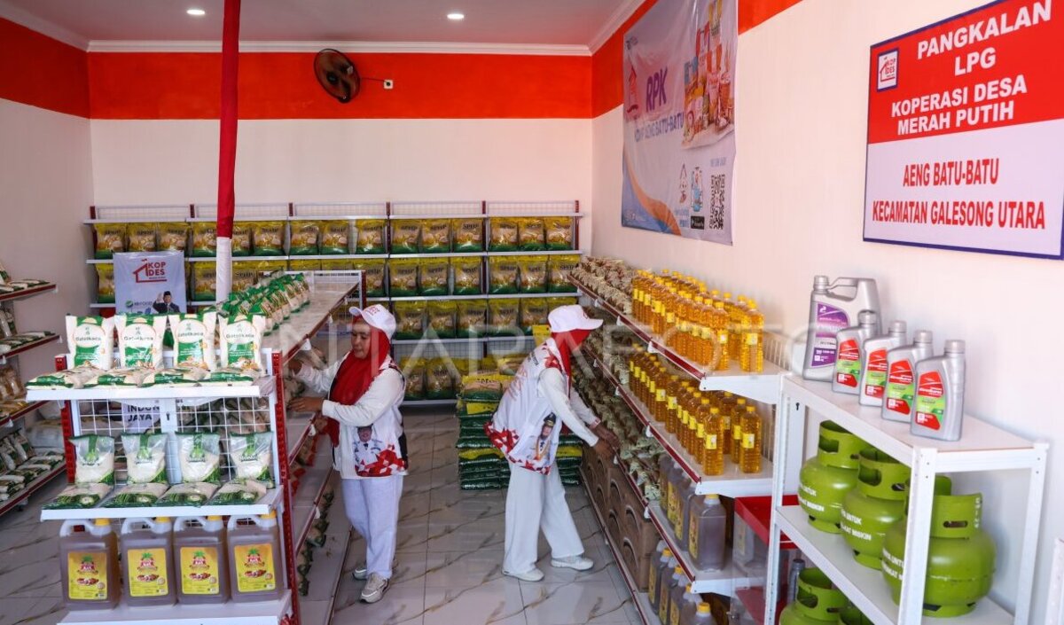 Cek Daftar Unit Usaha Koperasi Merah Putih, Ada Apotek Hingga Gerai Sembako Murah