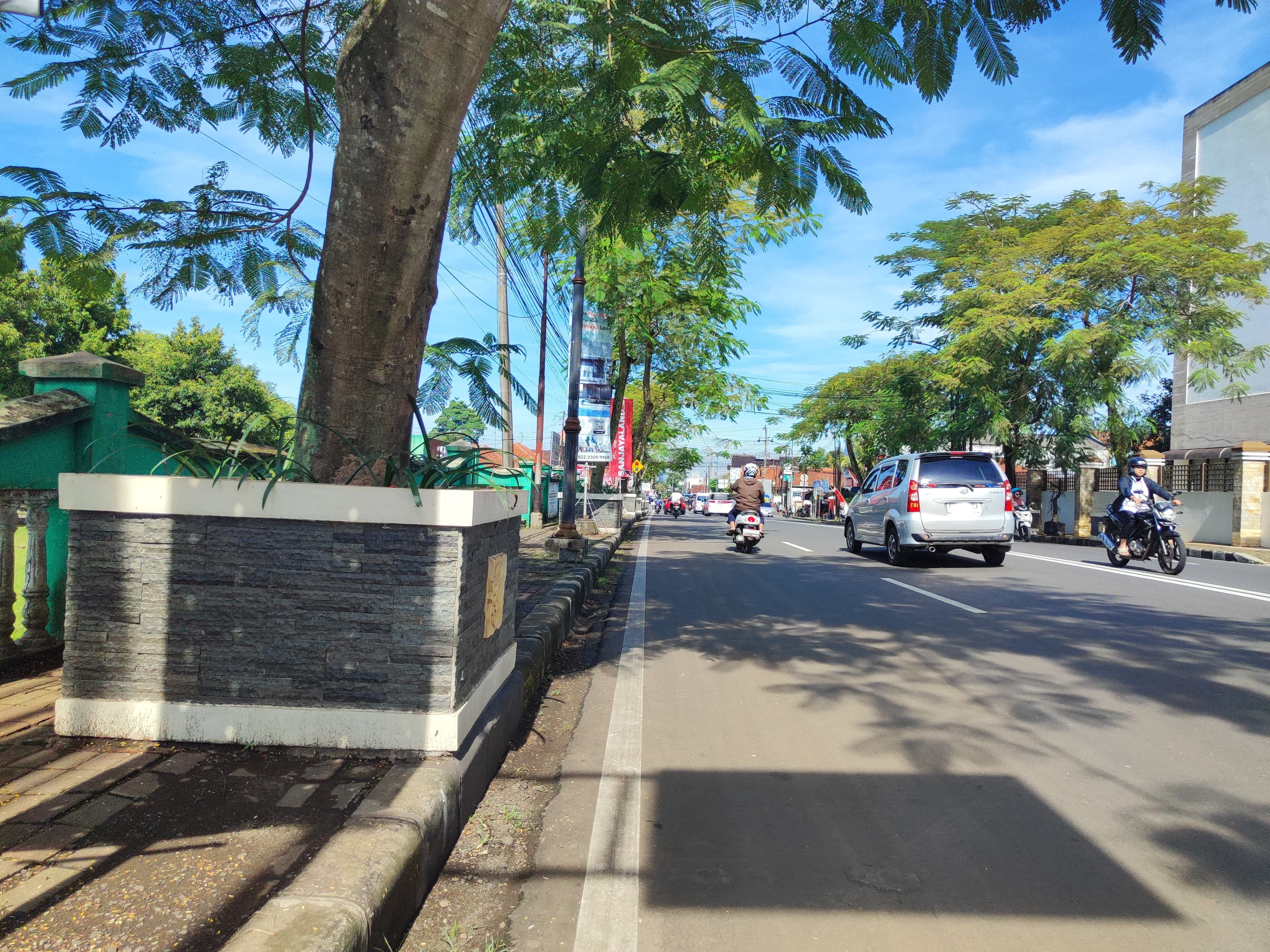 Tak Kena Efisiensi, Pengepotan Pohon di Jalan Dr. Angka dan Sudirman Dilanjut