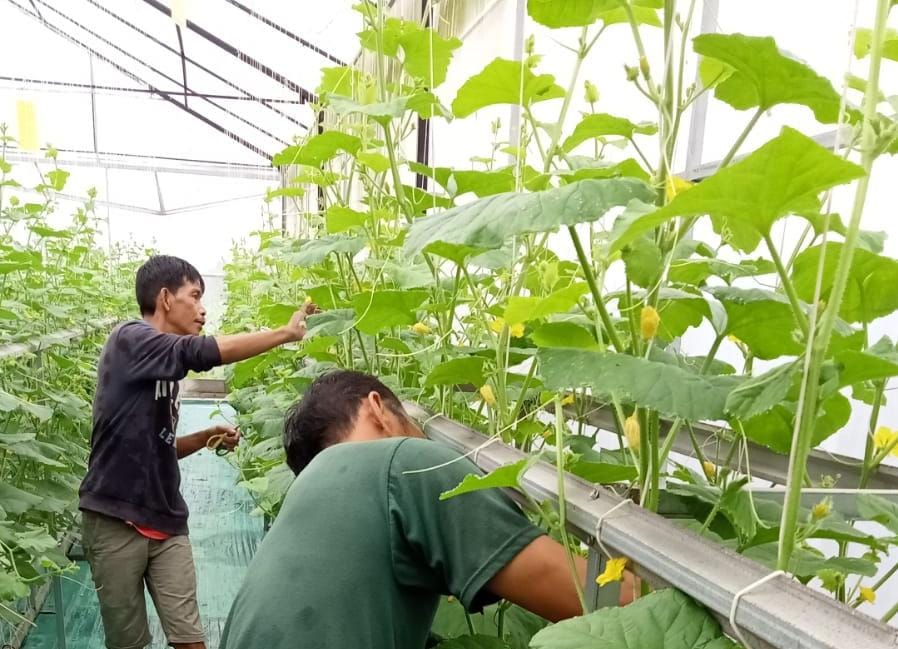 Selamat! Juara Inovasi Tingkat TTG Provinsi Jawa Tengah, Desa Karangpucung Maju ke Tingkat Nasional