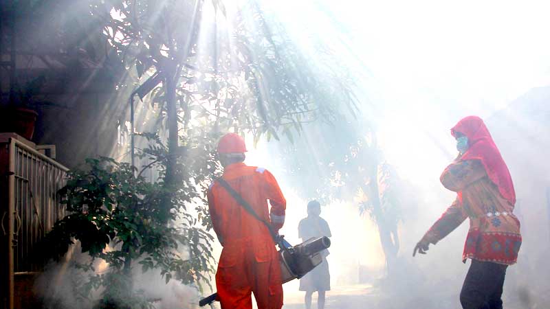 Fogging Jangan Jadi Prioritas Penanganan Demam Berdarah