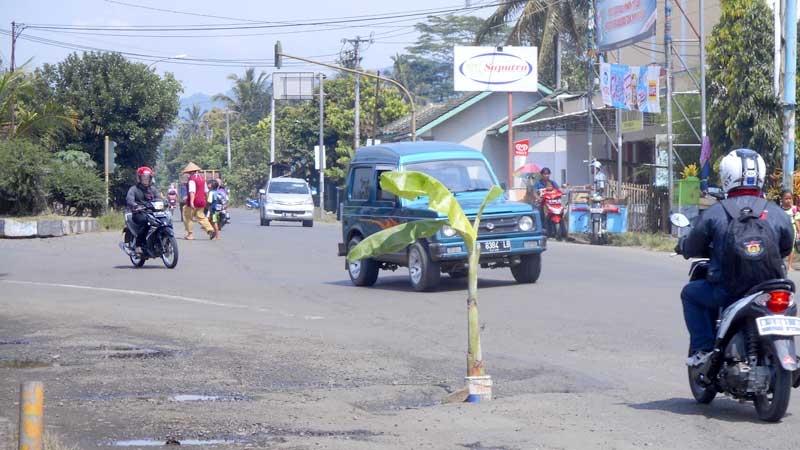 Jalan Wangon Berlubang Rawan Kecelakaan, Warga Tanam Pohon