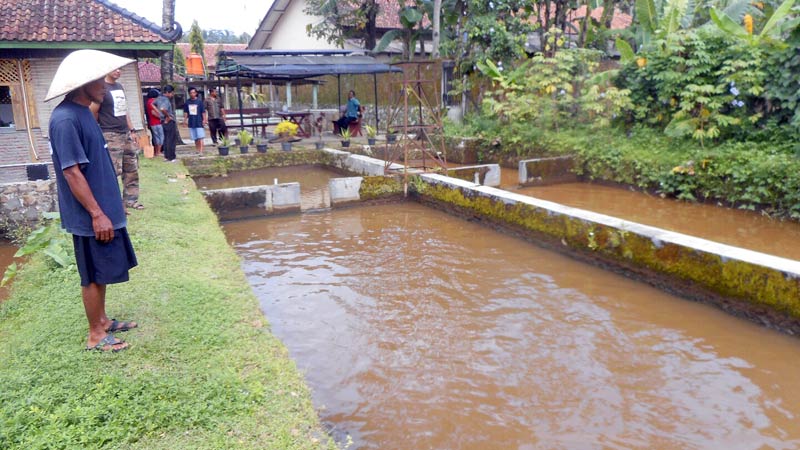 Kondisi Air Sungai di Cilongok Bertambah Keruh