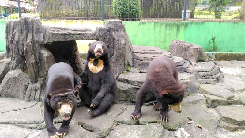 Taman Rekreasi Marga Satwa Selamanik Harus Perbesar Kontribusi PAD Banjarnegara