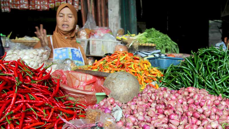 Waspadai Inflasi Januari