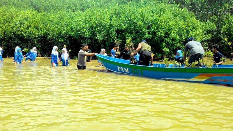 Wisata Mangrove Dikeluhkan Wisatawan