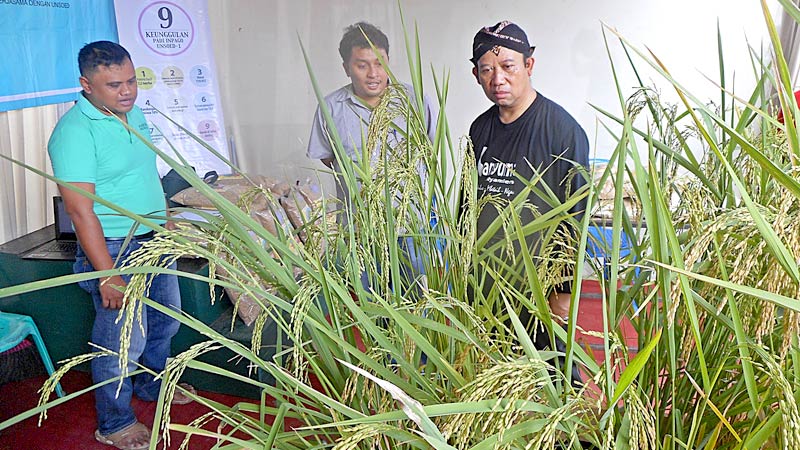 Potensi Lokal Banyumas Belum Tergarap Maksimal