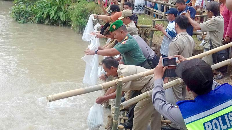 Danramil Kebasen Ikut Tabur Benih Ikan