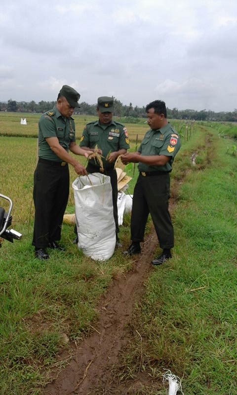 Koramil Kebasen Gencarkan Sistem Jarwo