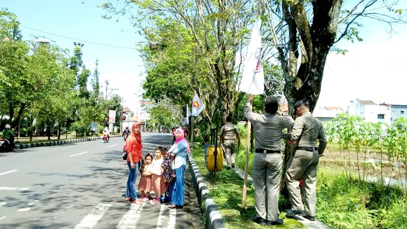 Satpol PP Purbalingga Tertibkan Bendera Parpol yang Dipaku di Pohon