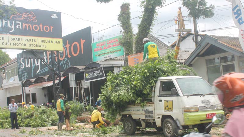 Bahayakan Pengguna Jalan, Pohon di Jalan Protokol Banjarnegara Dipangkas