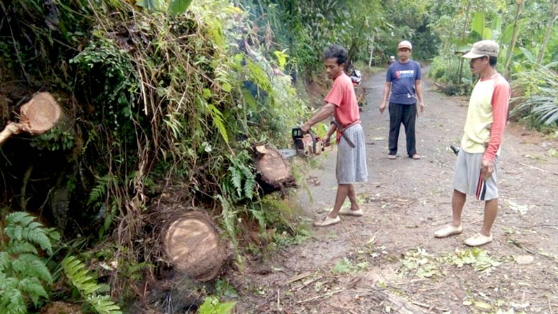 Jalan Kabupaten Penghubung desa Bingkeng dan Bolang di Cilacap Tertutup Longsor