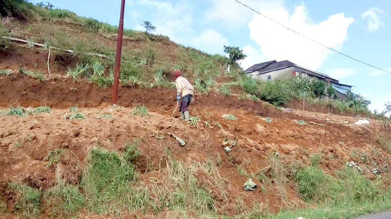 Sambungan Listrik Gratis di Banjarnegara Lebih Selektif