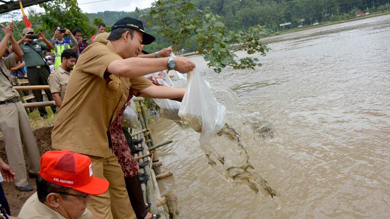 Banyumas Restocking Ikan Sungai Serayu