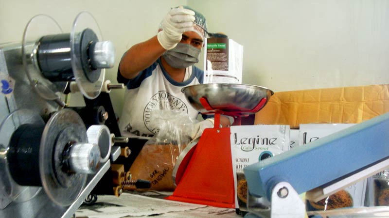 Dikomplain karena Tercemar, Permasalahan Kualitas Ganggu Ekspor Gula Semut Banyumas