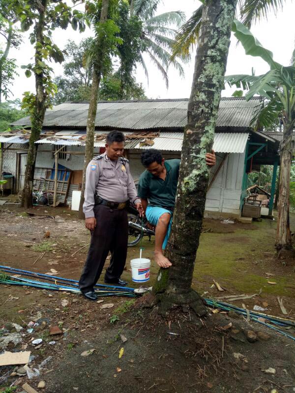 Jatuh dari Pohon Kelapa, Warga Pekuncen Meninggal