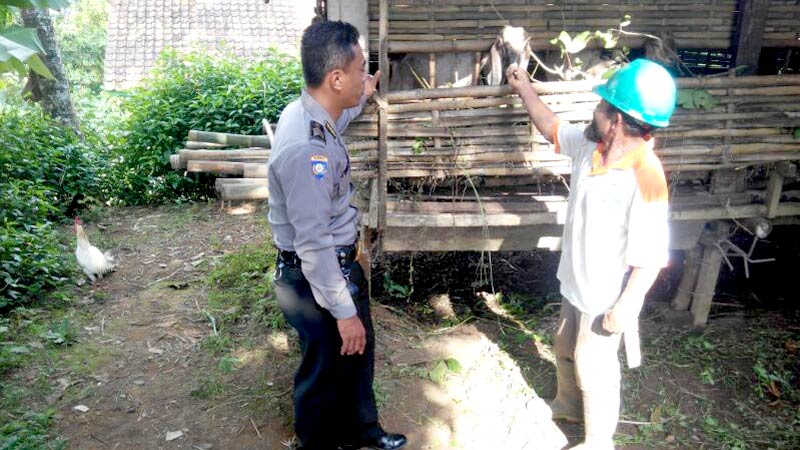 Pencurian Kambing Kian Marak, Peternak Dihimbau Pasang Kunci Pengaman