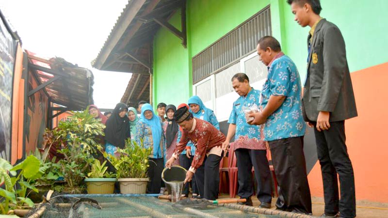 SMA Negeri 1 Purwanegara Launching Kolam Lele